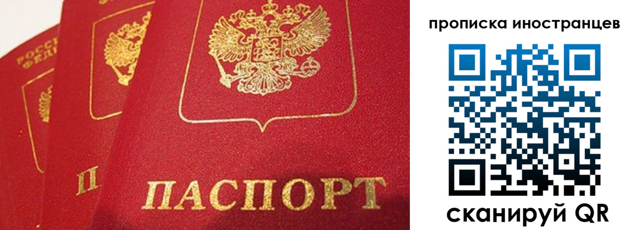 прописка поиск в Тутаеве